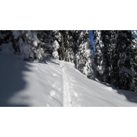 Skitour von Gosau zur Goisererhütte_116