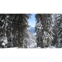 Skitour von Gosau zur Goisererhütte_117