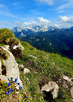 Rund um die Hütte