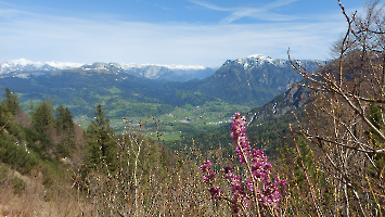 Rund um die Hütte