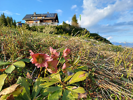 Rund um die Hütte