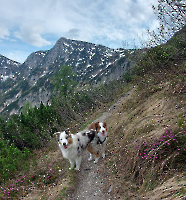 Rund um die Hütte_2