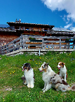 Rund um die Hütte_6
