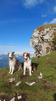 Rund um die Hütte_9